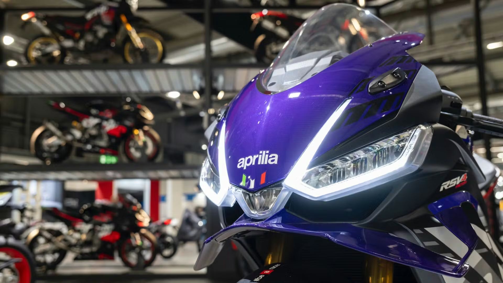 GAMMA APRILIA - BM STORE